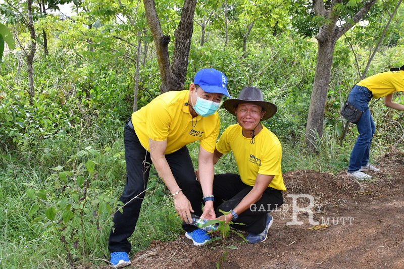 20210526-Tree planting dayt-091.JPG
